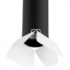 Подвесной светильник Lightstar Rullo RP487436