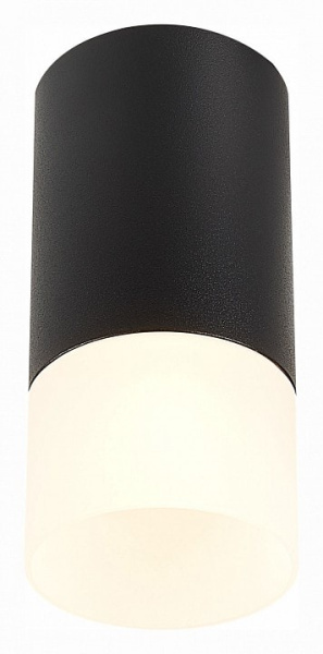 Накладной светильник ST-Luce ST100 ST100.412.01