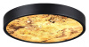 Накладной светильник Odeon Light Bergi 5064/24L