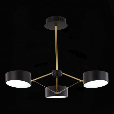 Люстра на штанге EVOLUCE Valle SLE6005-402-03