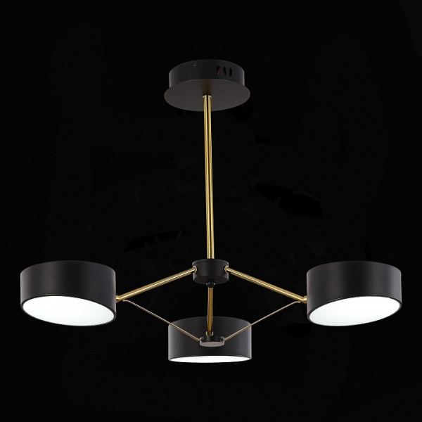 Люстра на штанге EVOLUCE Valle SLE6005-402-03