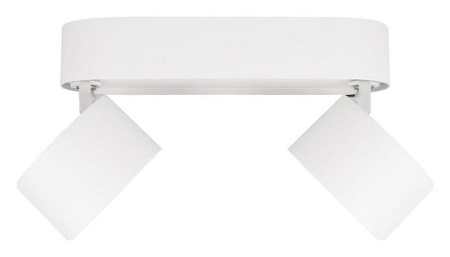 Спот Loft it Focus 10323/2A White