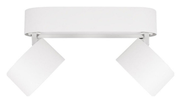 Спот Loft it Focus 10323/2A White