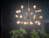 Подвесная люстра Ambrella Light TR TR3013