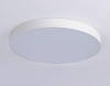 Накладной светильник Ambrella Light FV FV5535