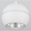 Подвесной светильник Elektrostandard DLS023 a047774