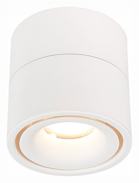 Светильник на штанге ST-Luce ST652 ST652.542.12