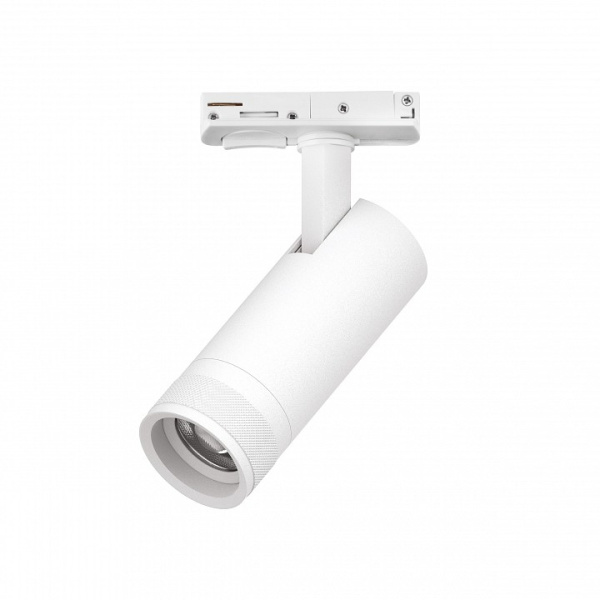 Светильник на штанге Lightstar Canno Pro C4126SS