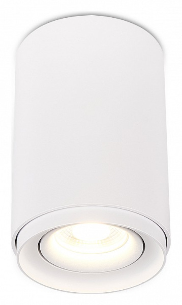 Накладной светильник SIMPLE STORY 2065 2065-1CLW