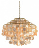 Подвесная люстра Lumion MODERNI 8386/6