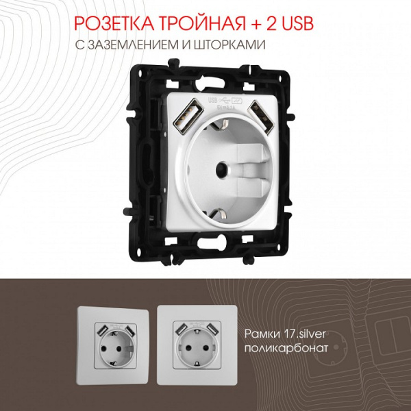 Розетка с заземлением и со шторкой и 2хUSB без рамки Arte Milano am-217 217.47-1.silver