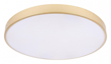 Накладной светильник Loft it Flims 10228/B