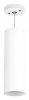 Подвесной светильник Lightstar Rullo RP6496