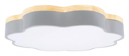 Накладной светильник Loft it Axel 10225/36 Grey