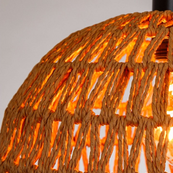 Подвесной светильник Arte Lamp BRUSHWOOD A7086SP-1BK