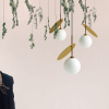 Подвесной светильник Imperiumloft  Cherry01