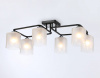 Накладной светильник Ambrella Light TR TR303224