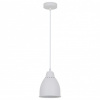 Подвесной светильник Arte Lamp Braccio A2054SP-1WH