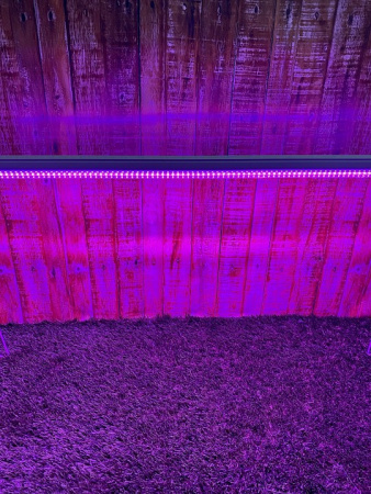 Светильник для растений Uniel ULI-P21 UL-00008921