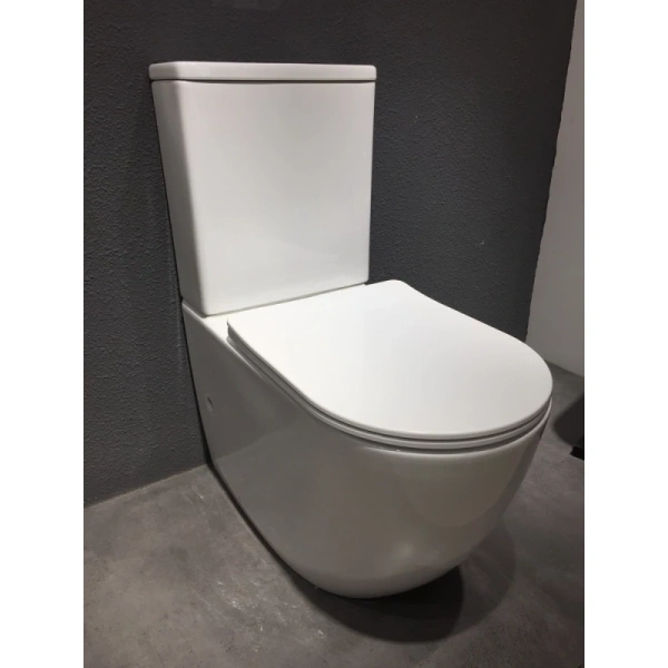 Чаша напольного безободкового унитаза с сиденьем микролифт Bravat Gina CX01008UW-PA-ENG