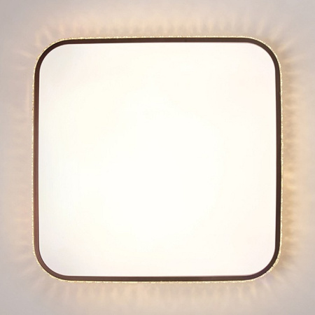 Накладной светильник Ambrella Light FF FF76