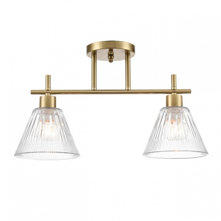 Светильник на штанге Lumion Vivian 8188/2C