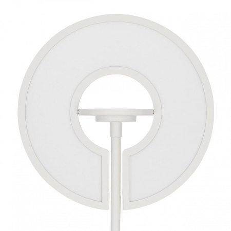 Торшер Citilux LOONG CL810030
