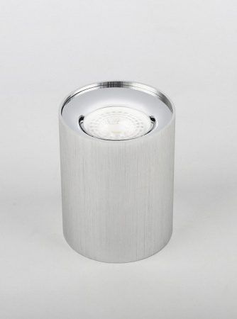 Накладной светильник Эра OL1 GU10 SL/CH