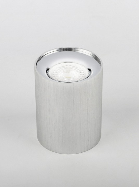 Накладной светильник Эра OL1 GU10 SL/CH