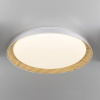 Накладной светильник Citilux MEGA CL752452G