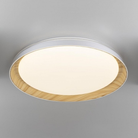 Накладной светильник Citilux MEGA CL752452G