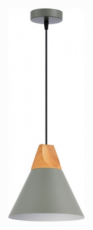 Подвесной светильник EVOLUCE Modica SLE125113-01