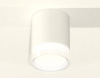 Накладной светильник Ambrella Light XS XS6301064