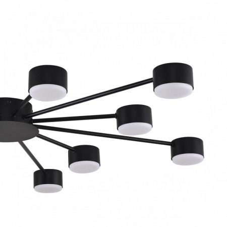 Потолочная люстра Lumion TORINA 8344/12C