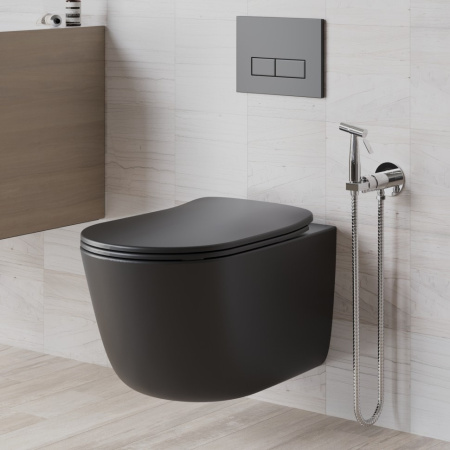 Гигиенический душ Paini Castello Round CACR442R со смесителем