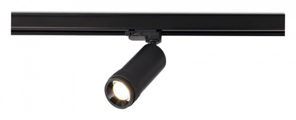 Светильник на штанге ST-Luce ST691.436.20