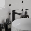 Смеситель для раковины Paini Bari RTYO205LL черный матовый