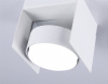 Накладной светильник Ambrella Light TN TN70841