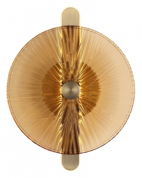 Накладной светильник ST-Luce WASI SL6141.311.01