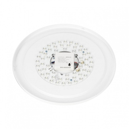 Накладной светильник Citilux BOSS CL751351G