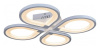 Потолочная люстра iLedex Clover 6885/4 WH