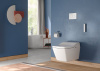 Крышка-биде для унитаза TOTO Washlet+ SW TCF803CG