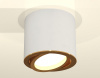 Накладной светильник Ambrella Light XS XS7401004