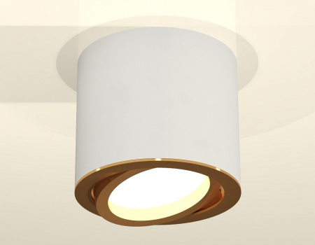 Накладной светильник Ambrella Light XS XS7401004