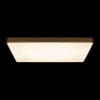 Накладной светильник Loft it Flims 10228/E
