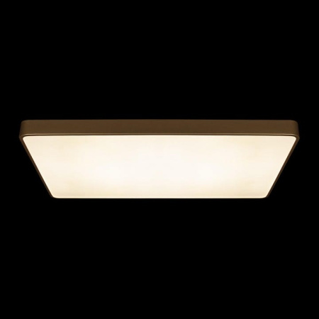 Накладной светильник Loft it Flims 10228/E