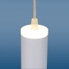 Подвесной светильник Elektrostandard DLR035 a043959