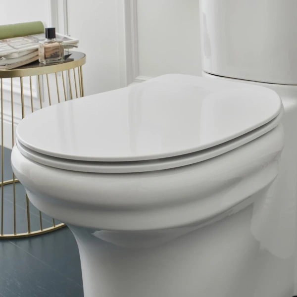 Унитаз-компакт Jacob Delafon Cleo 1889 UJAC102-0 + ETAC212-0 + E24048-0 безободковый, с сиденьем микролифт, белый