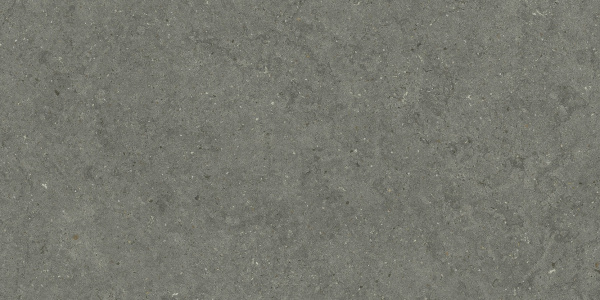 Italon Керамический гранит Forum Керамогранит Stone Iron 60x120 натуральный