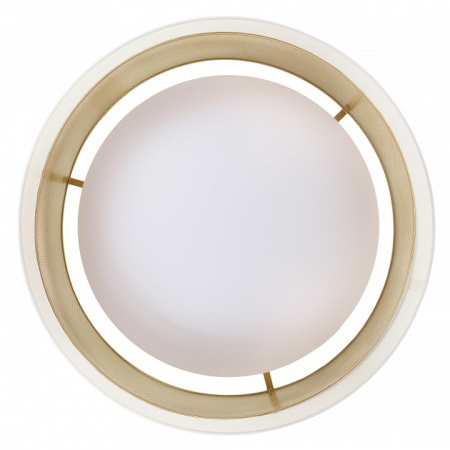 Накладной светильник MyFar Anders MR2371-1CL